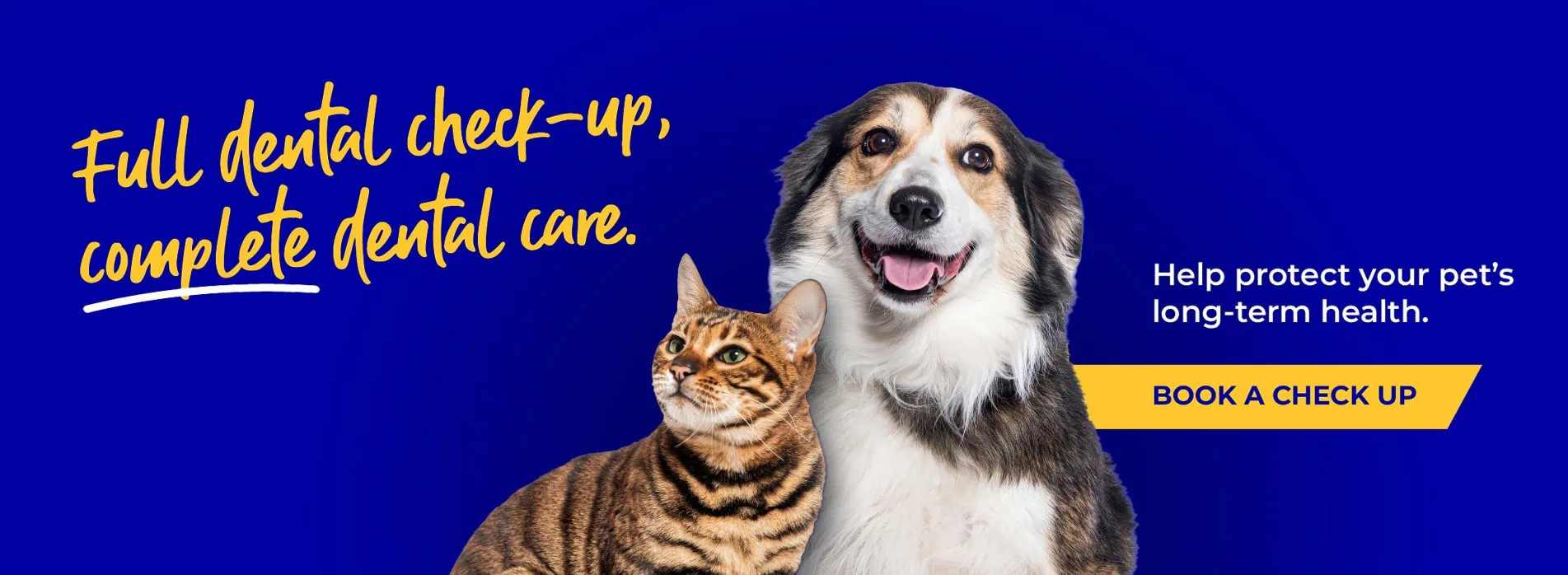 Gower Veterinary Clinic | Vet in Swansea | Vets Near Me