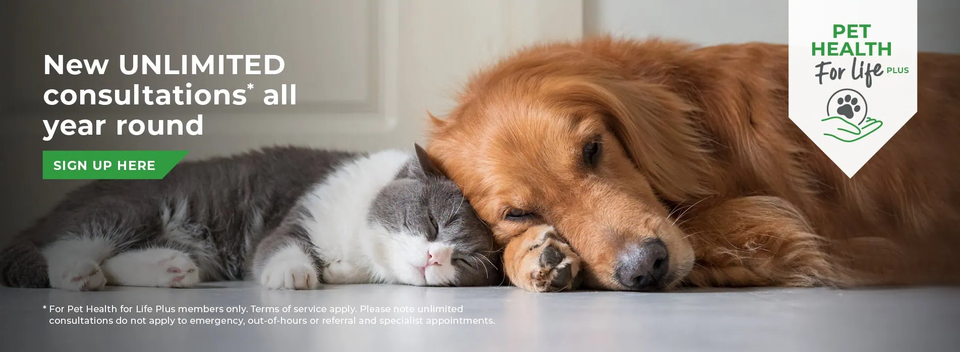 Gower Veterinary Clinic | Vet in Swansea | Vets Near Me