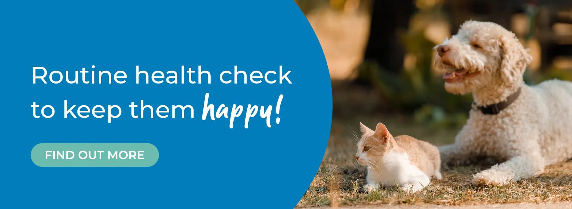 Gower Veterinary Clinic | Vet in Swansea | Vets Near Me